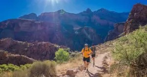 Vegan topsporters die plantaardig eten en succesvol zijn