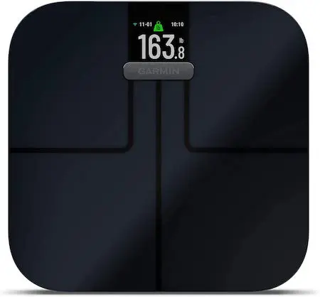 Garmin Index 2