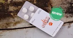 Grizz Energy Gum review