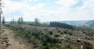 Ultra trailrun Theux Stoumont extratrail