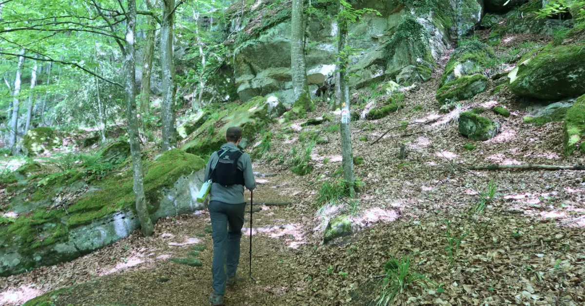 Mullerthal trail route 2
