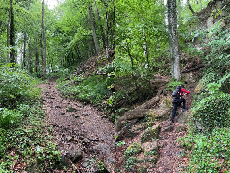 Mullerthal trail route 2