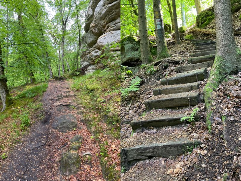 Mullerthal trail route 2