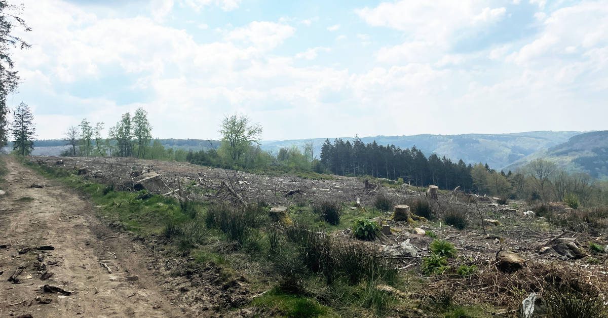 Ultra trailrun Theux Stoumont extratrail